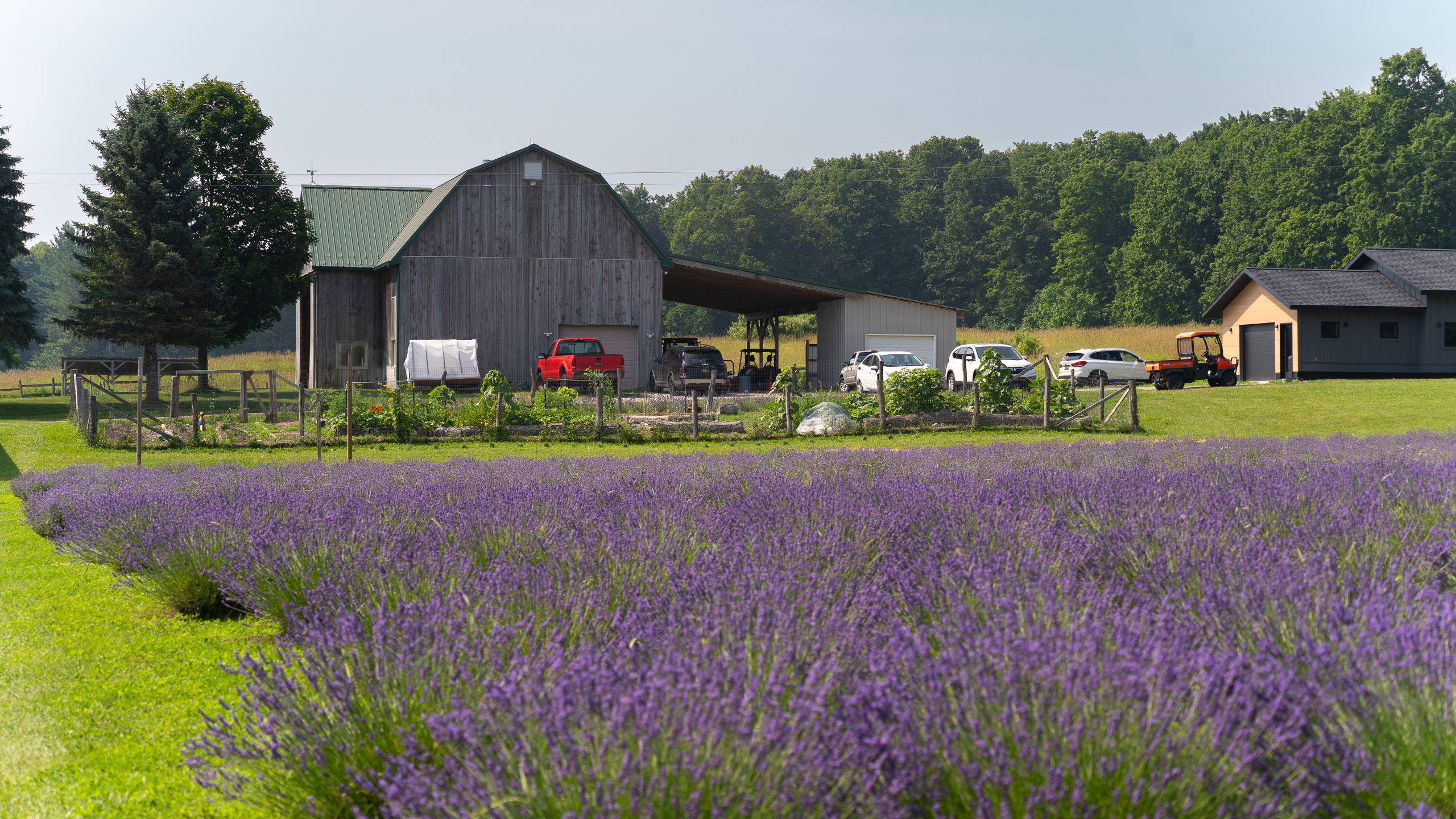 Full Circle Lavender Farm