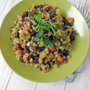 MEMBER TICKET: Mastering Plant Based Proteins