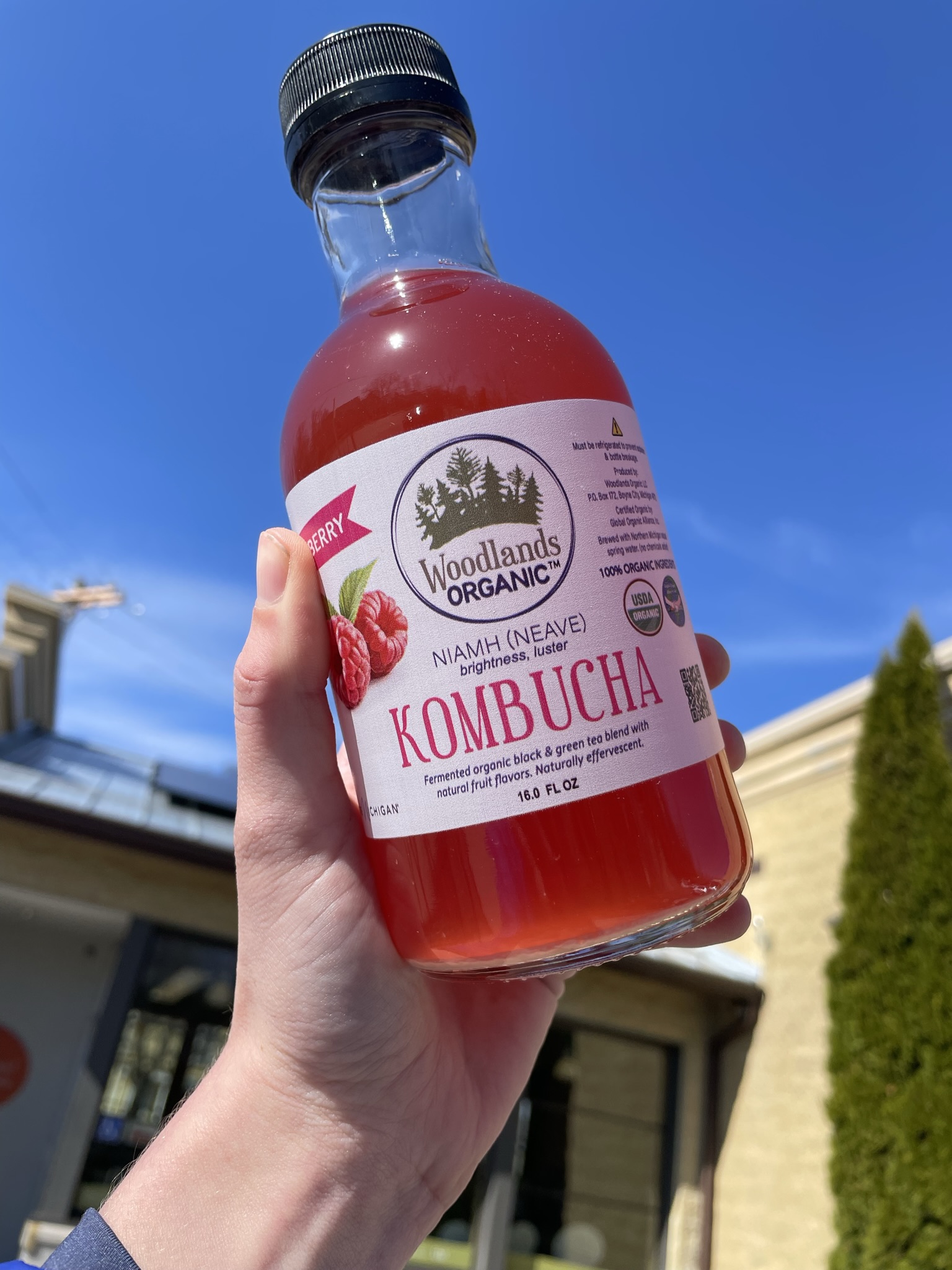 Woodland Kombucha Tasting