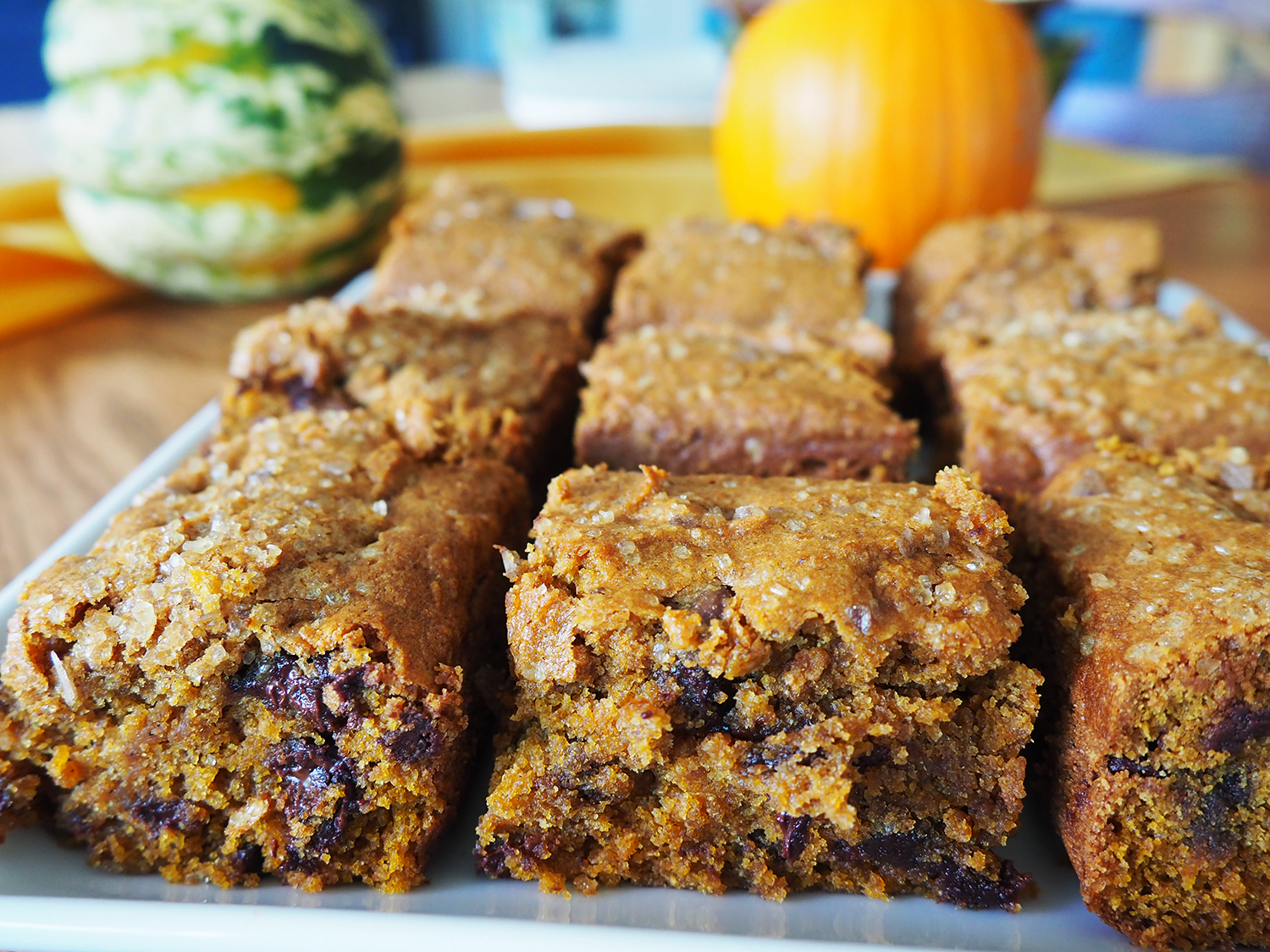 Field Day Baking Sample (West)