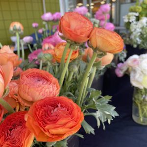 MEMBER TICKETS: Grow Your Own Ranunculus